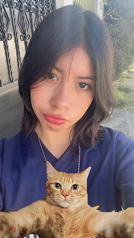 Imagen subida por Kiwii