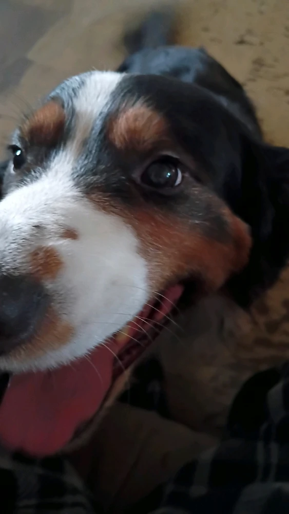 GIF uploaded by Landyn