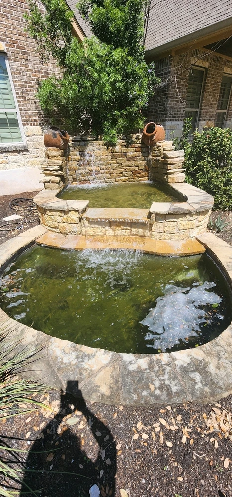 Image uploaded by Aiden