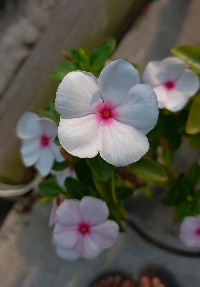 GIF uploaded by 𝑨𝒏𝒆𝒆𝒍..