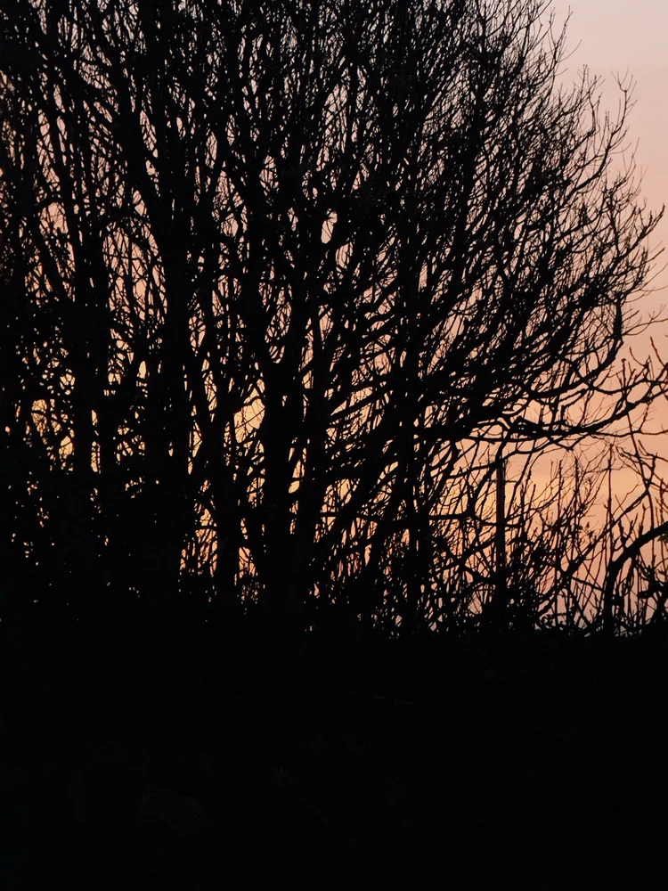 GIF enviado por Dnimreven