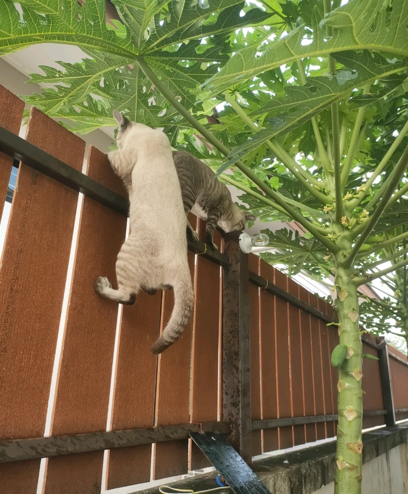 GIF uploaded by Jellyfish