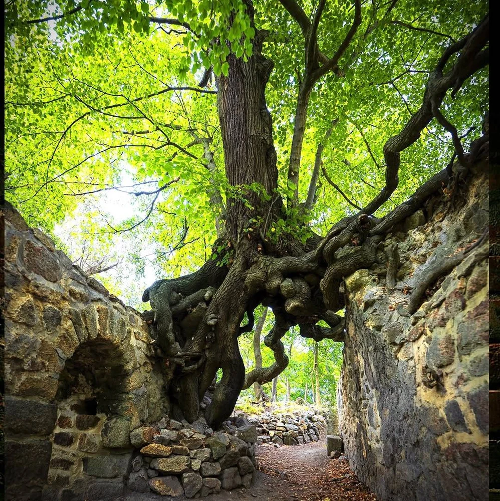 Image ajoutée par Rémi