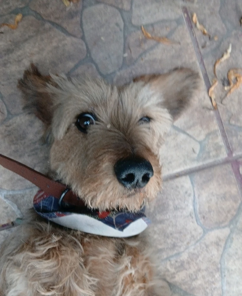 GIF subido por Ignacio