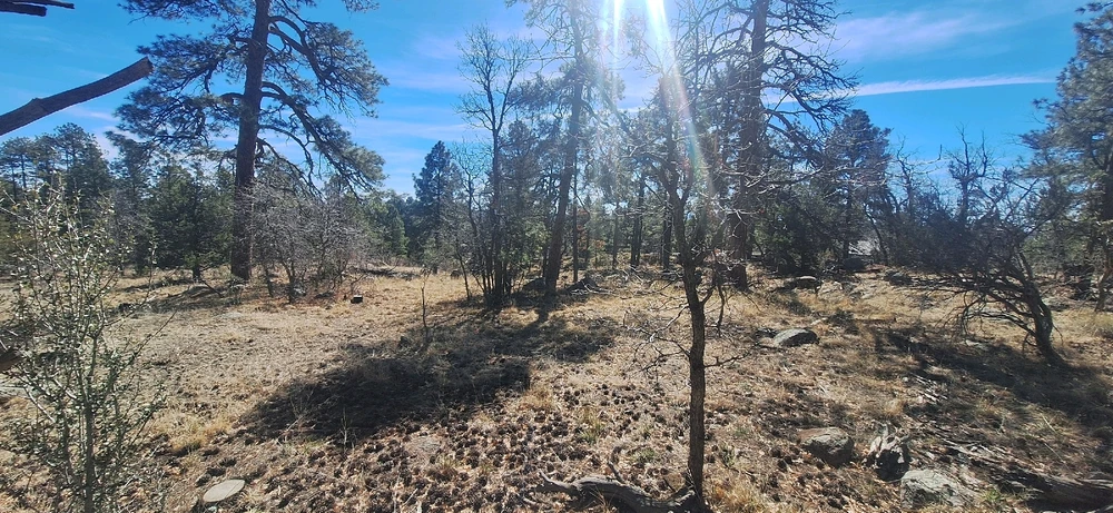 GIF uploaded by Collin