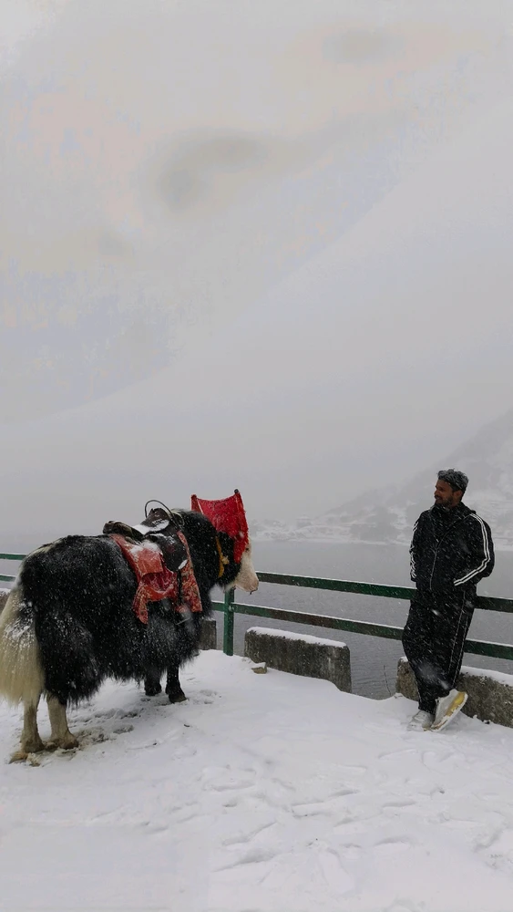 GIF uploaded by Vikrant