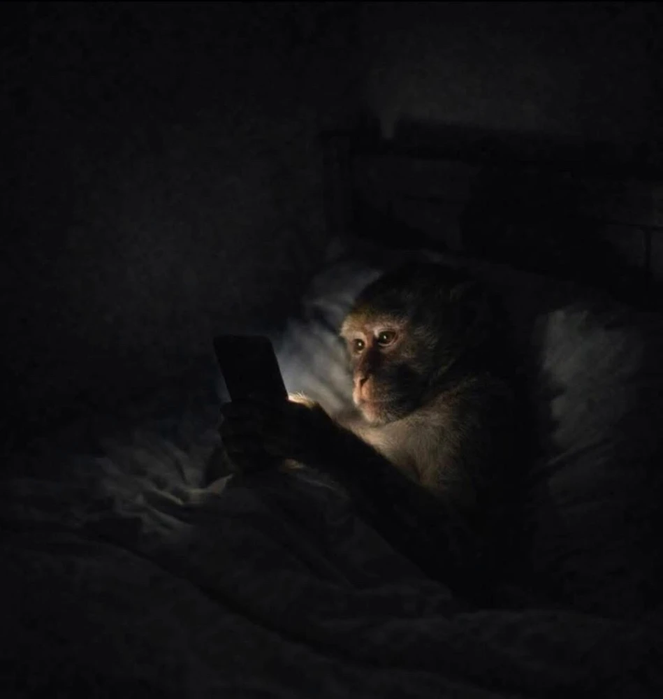 GIF uploaded by Ubaid