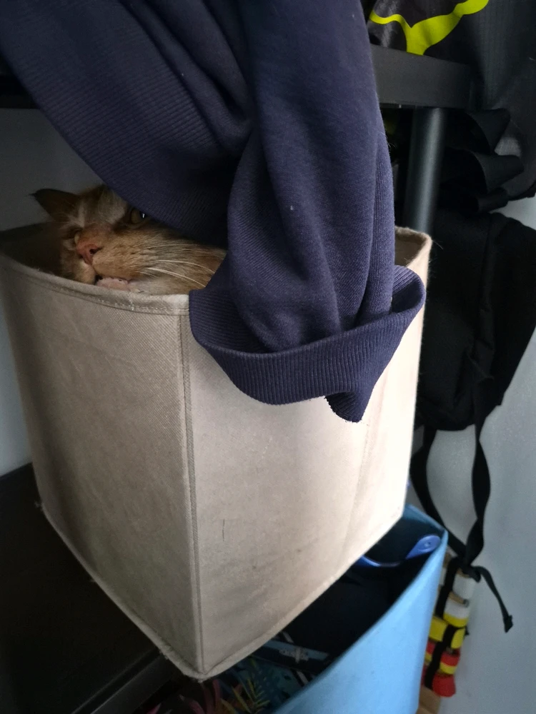 GIF ajouté par Chad