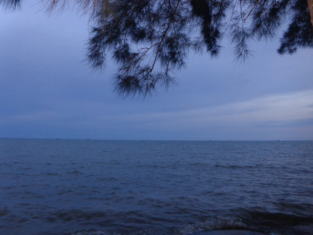 Image uploaded by jia