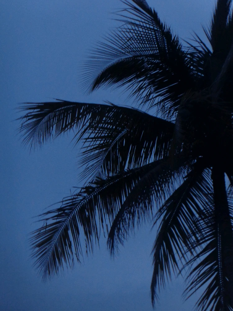 Image uploaded by jia