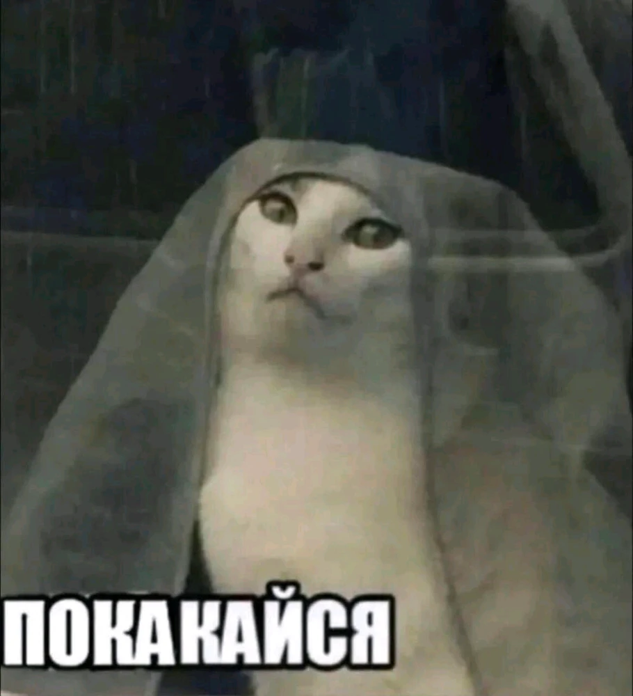 GIF загрузил SkyCat