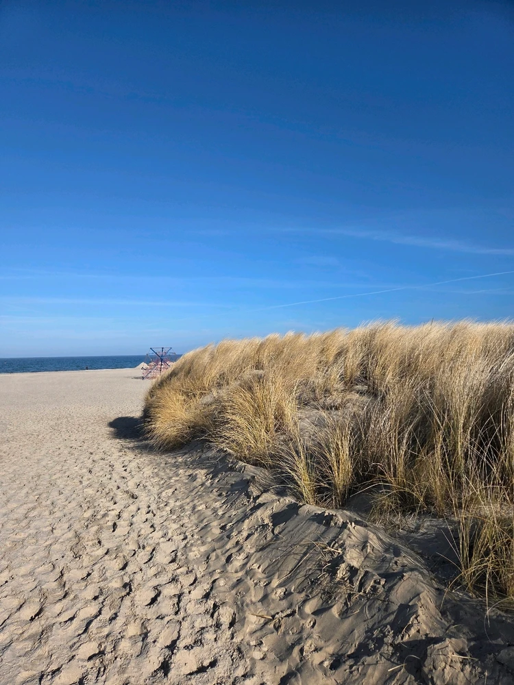 Image uploaded by Anne