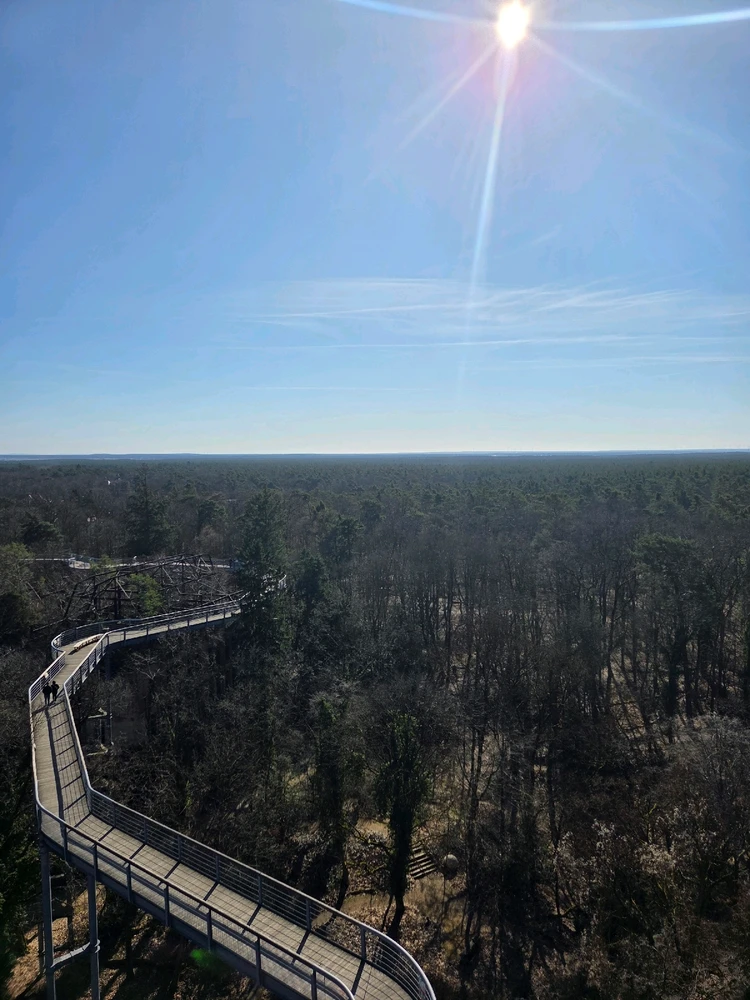 Image uploaded by Anne