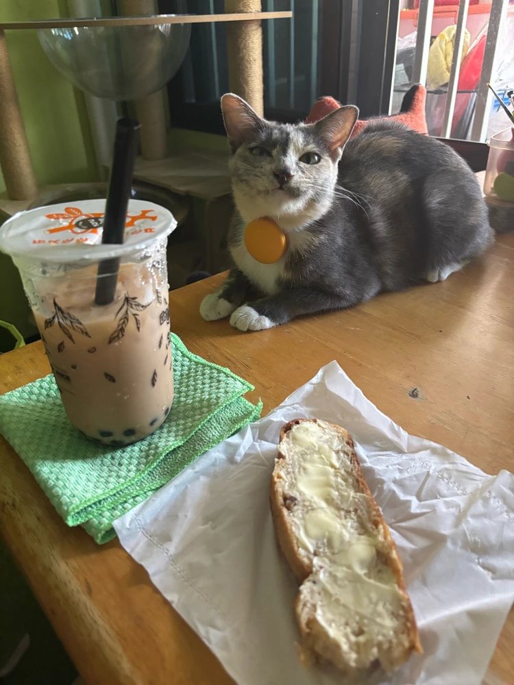 GIF uploaded by Pat♡