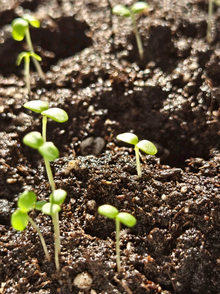 Image uploaded by Maria