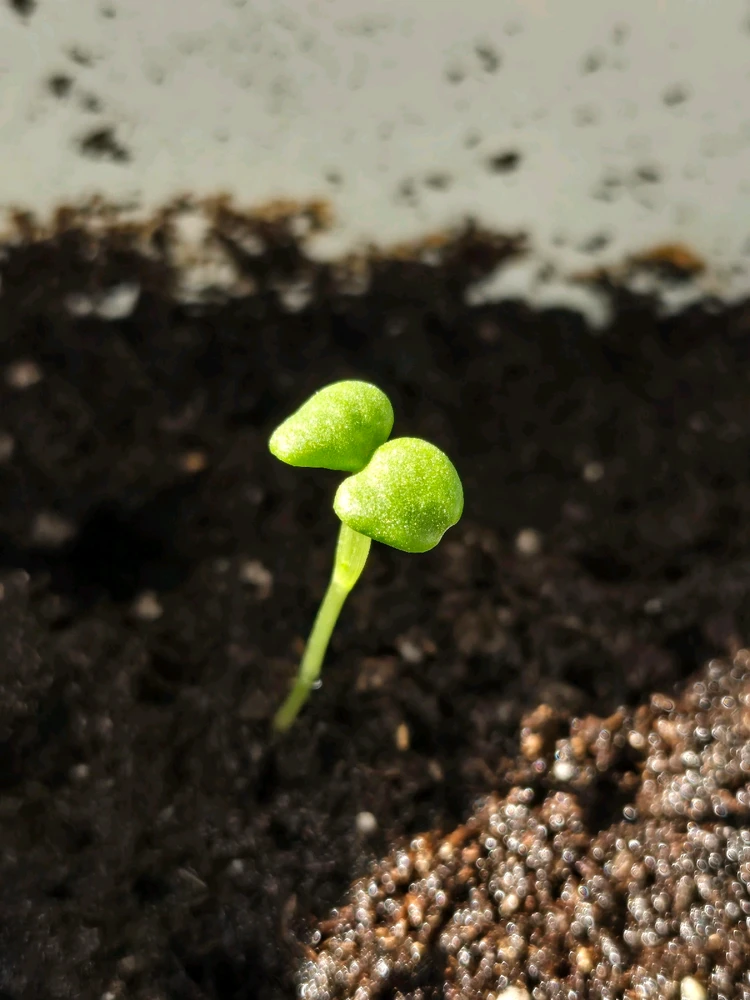 Image uploaded by Maria