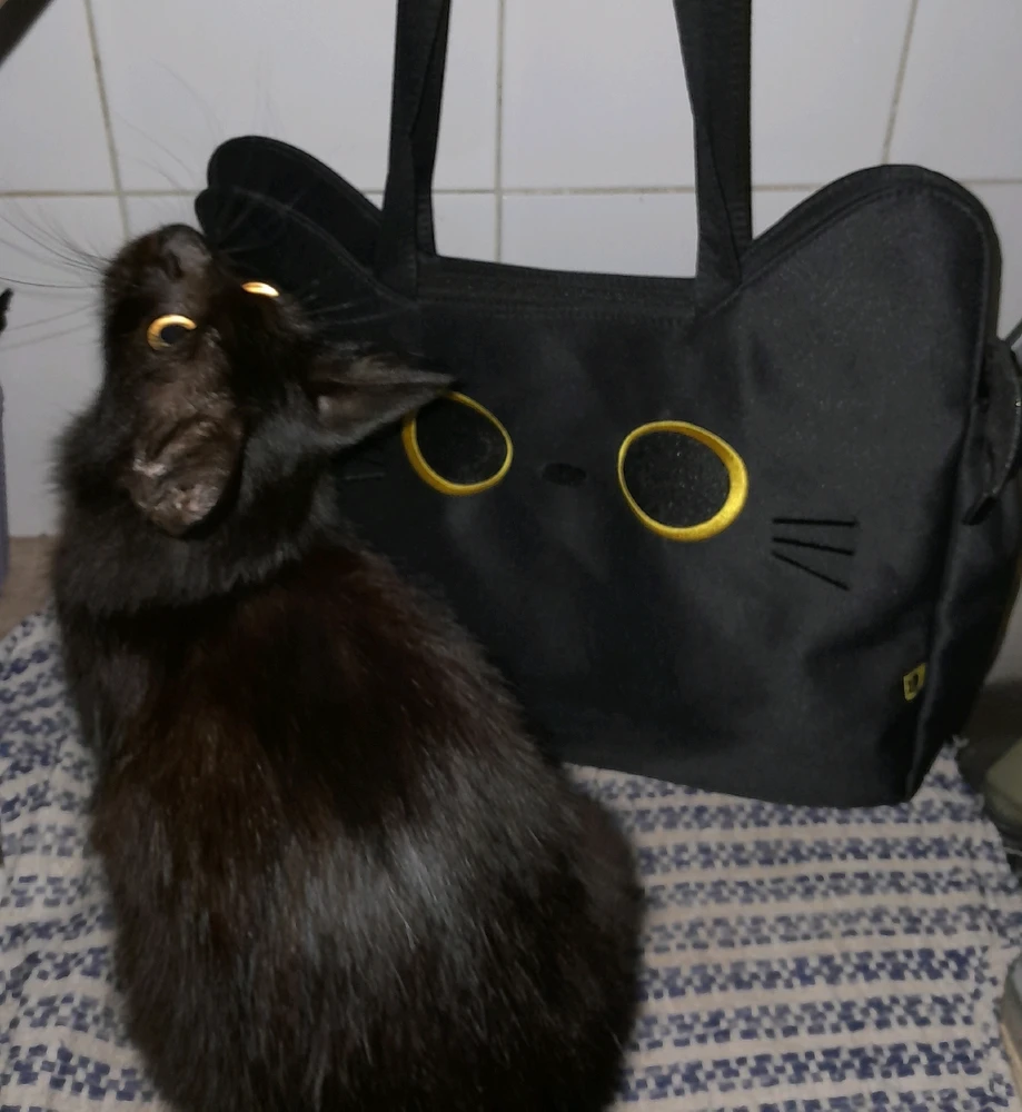 GIF uploaded by Rika