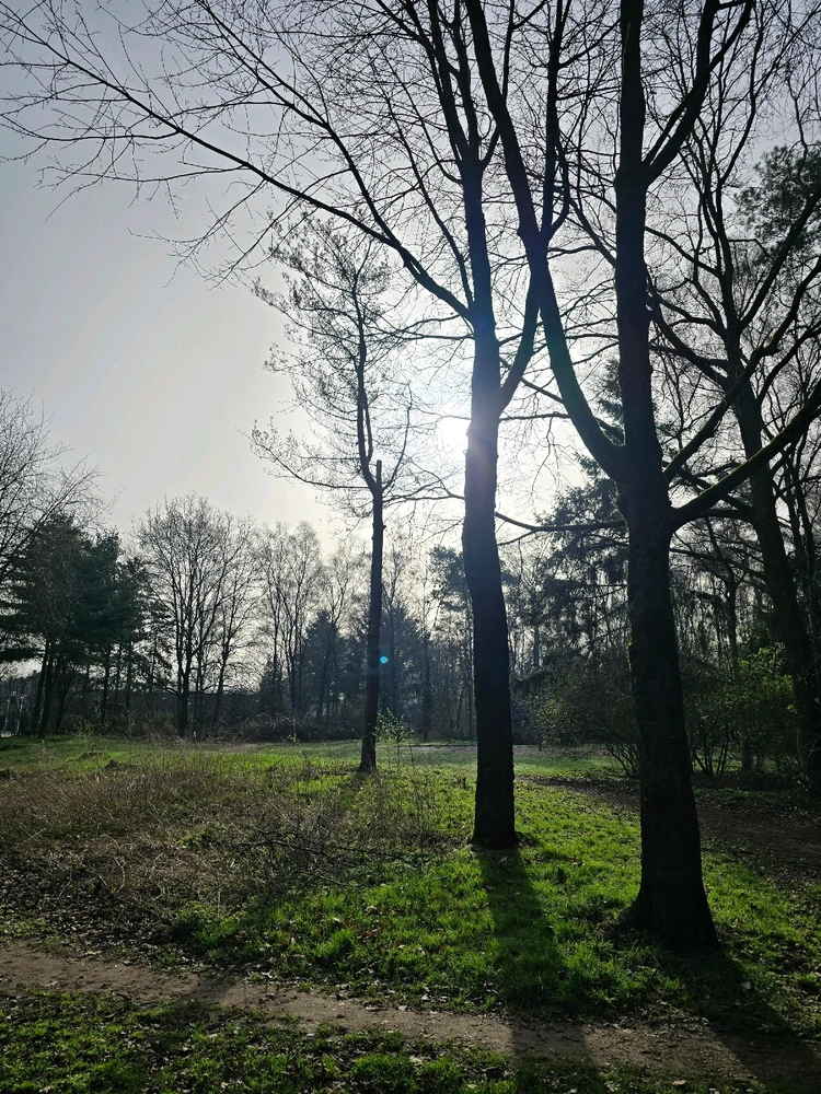 GIF uploaded by Alexander