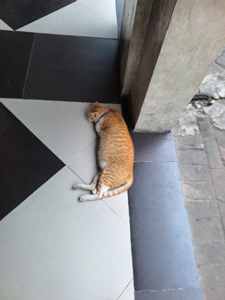 GIF uploaded by Anda