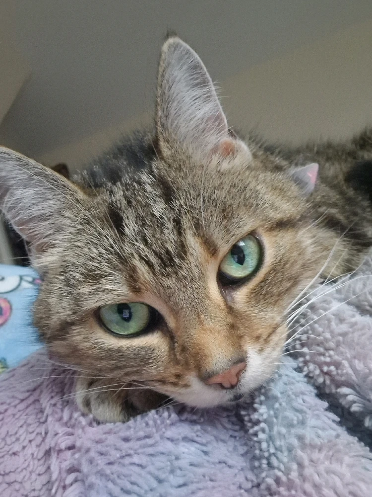 GIF uploaded by Naomie