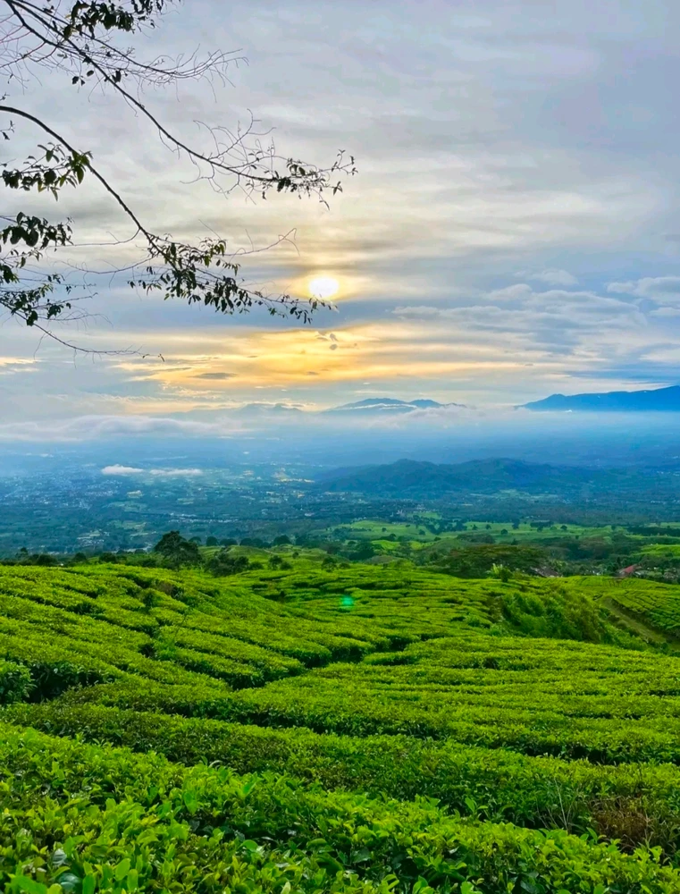 GIF diunggah oleh Hanzel