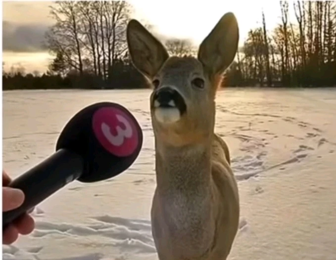 GIF uploaded by Kaiden