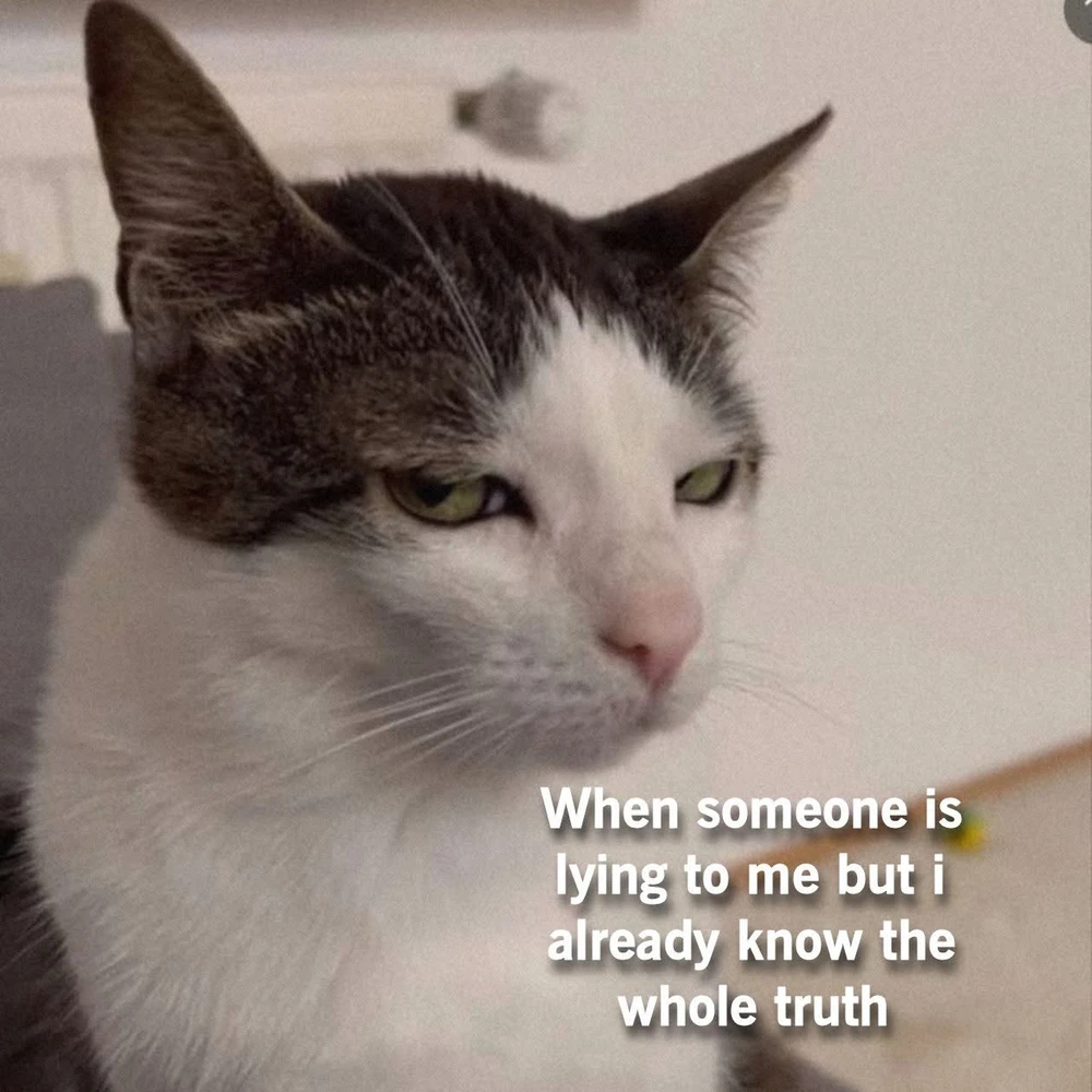 GIF uploaded by Ubaid