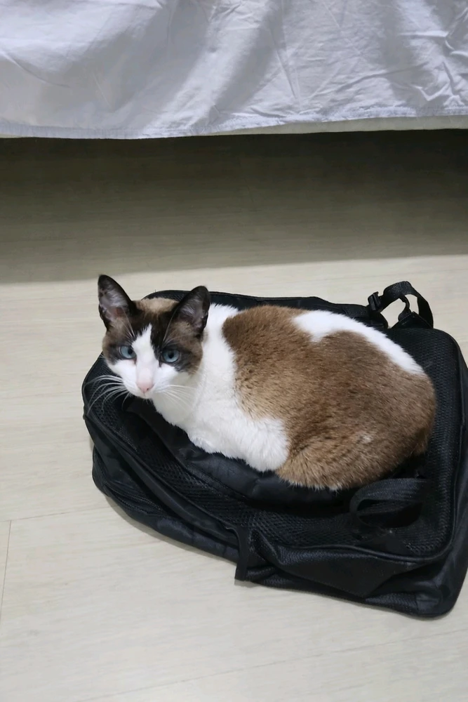 GIF enviado por Pedro