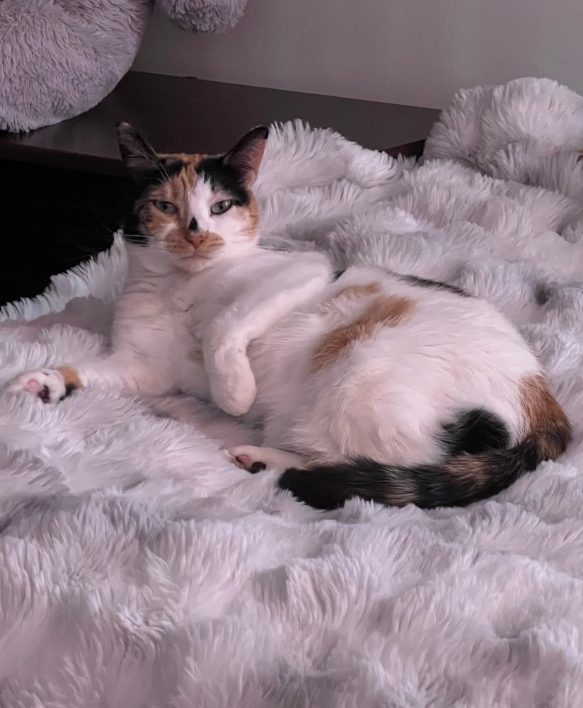 Image uploaded by eve