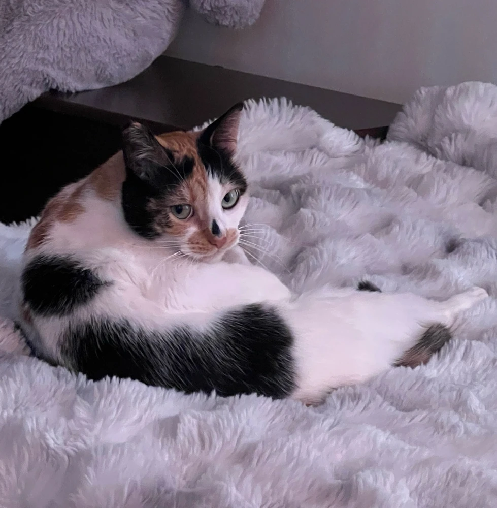 Image uploaded by eve