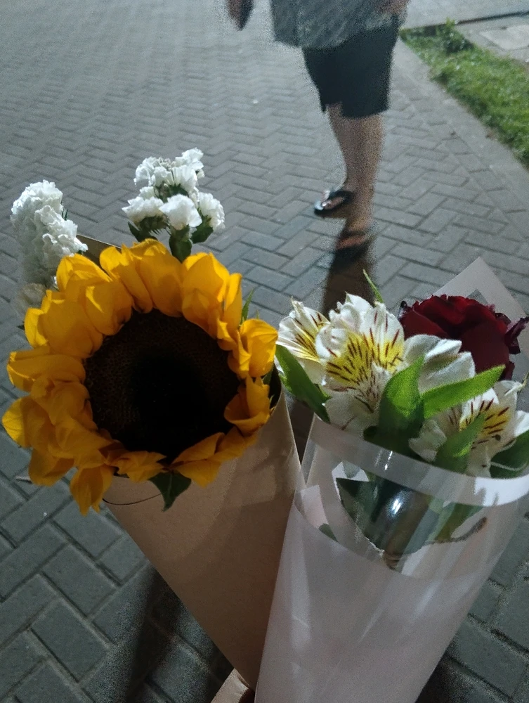 Image uploaded by Hanael