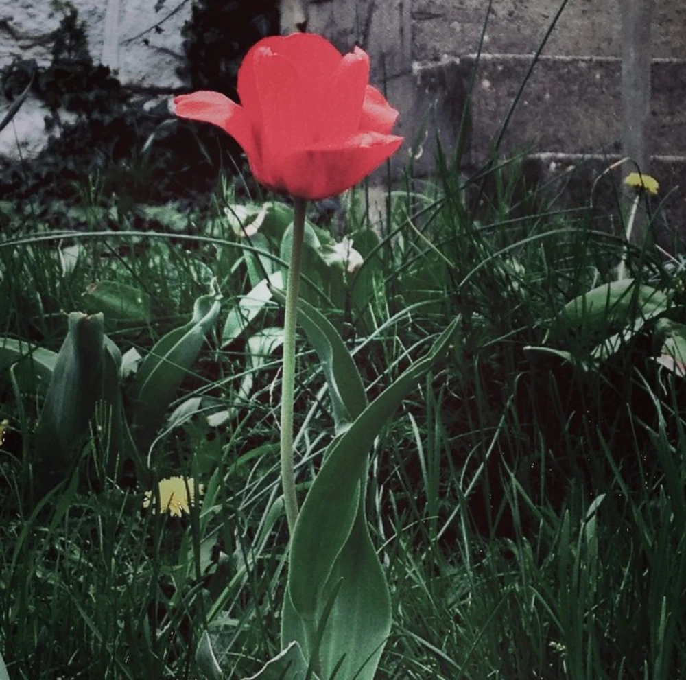 GIF uploaded by Ashton