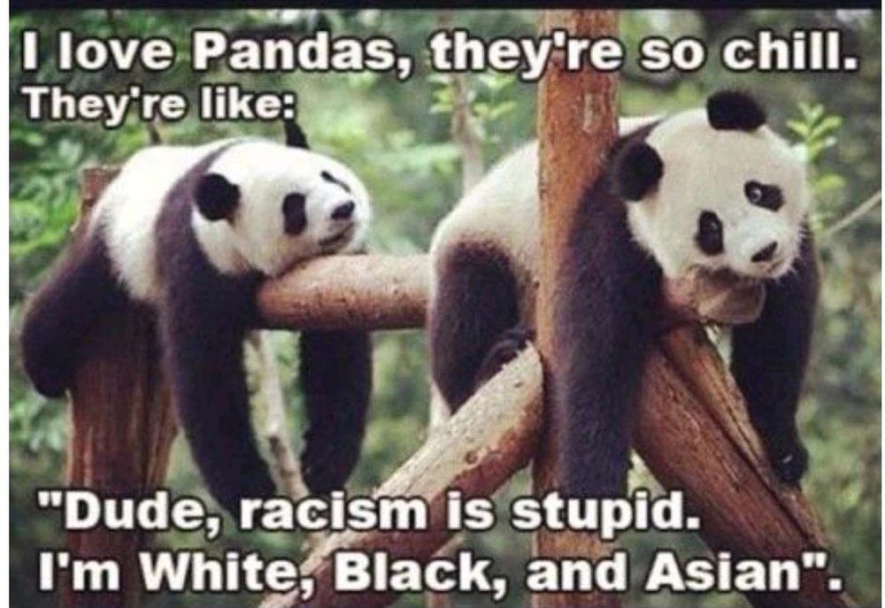 GIF uploaded by Sel-Bear