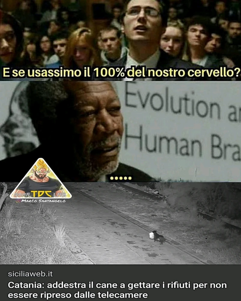 GIF caricata da Tommy