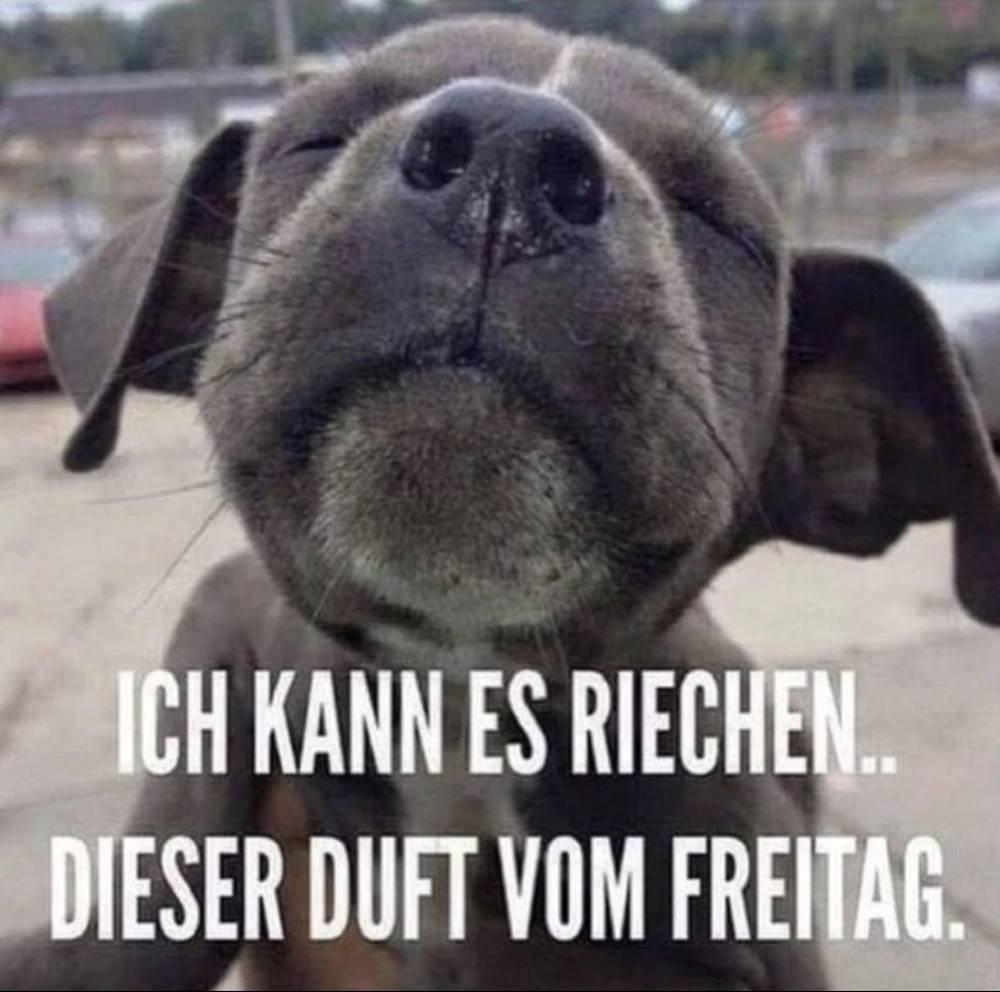 GIF hochgeladen von Simon