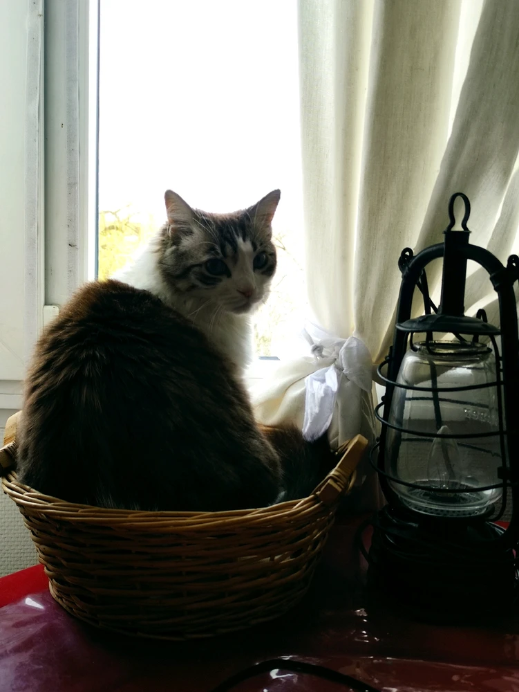 GIF uploaded by Nathalie