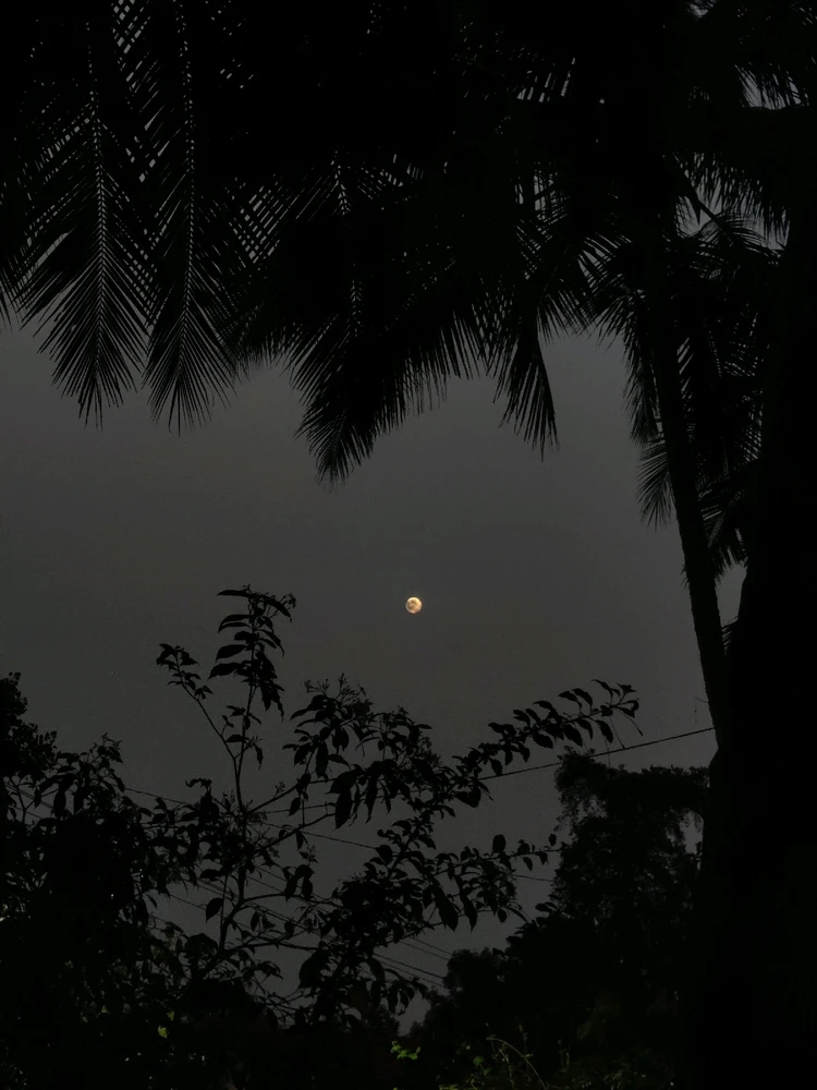 GIF uploaded by Nothing