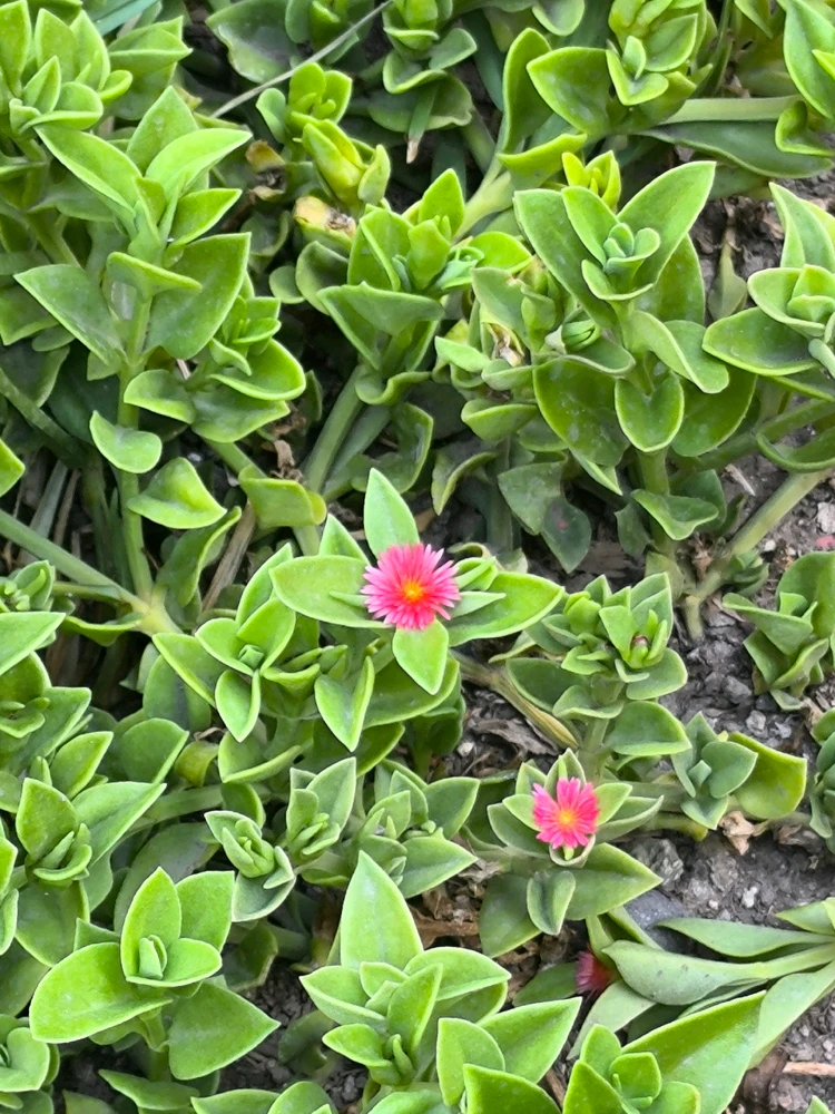 GIF uploaded by Naomi