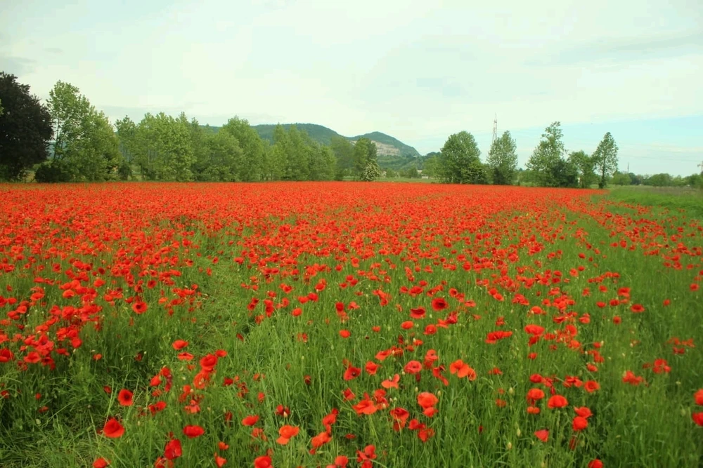 GIF uploaded by Gabriel