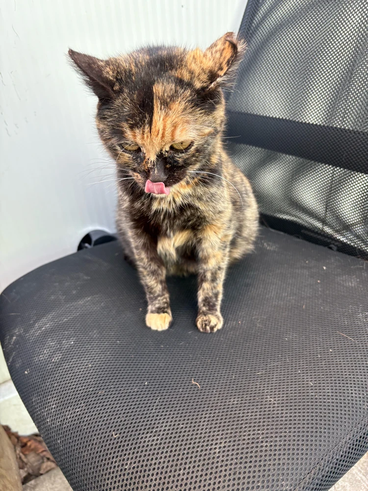 GIF uploaded by Anhel