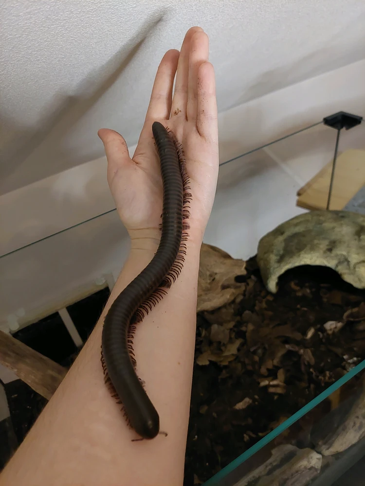 GIF uploaded by Liga Alexander