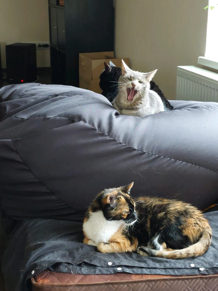 GIF uploaded by Liga Alexander