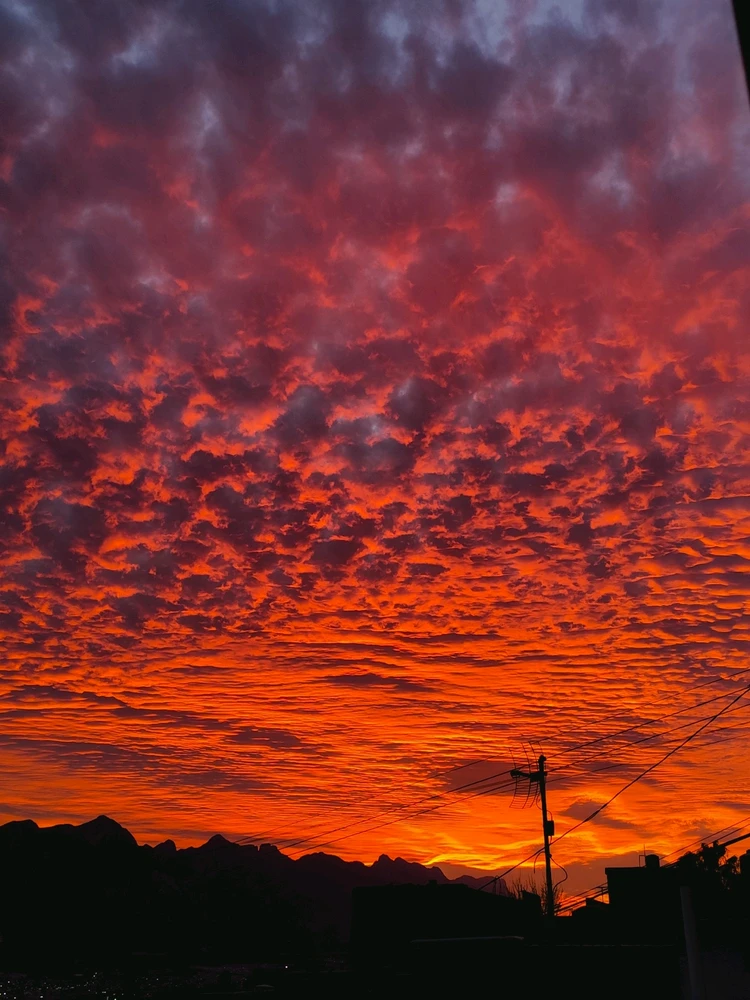 GIF subido por Eduardo