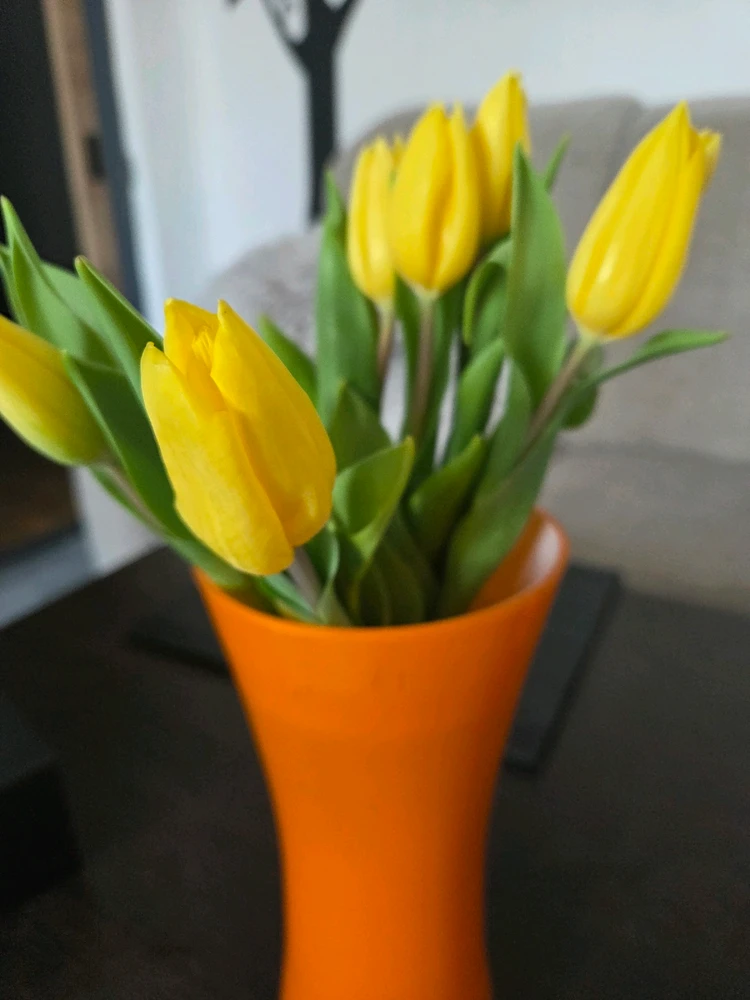 Obrázek nahrál Peťule