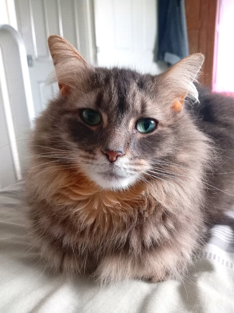 GIF uploaded by Andy