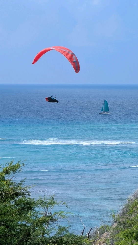 GIF diunggah dening Marc