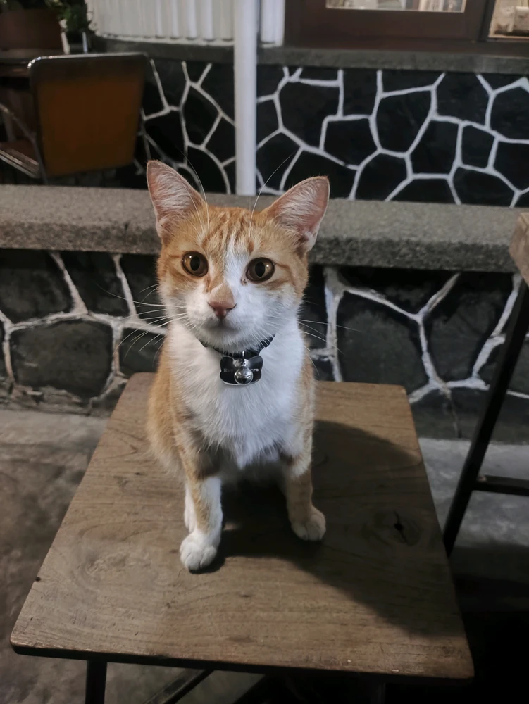 GIF uploaded by Iskandar Aziz