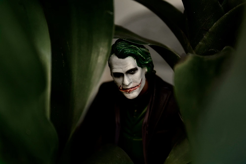 Image uploaded by Ashley