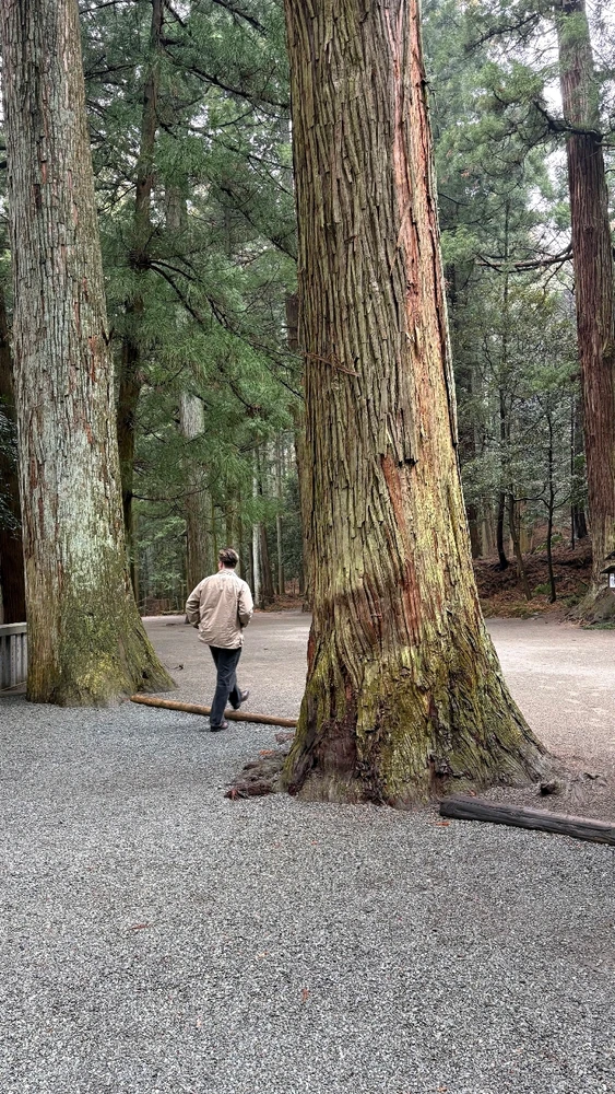 Image uploaded by Kirian