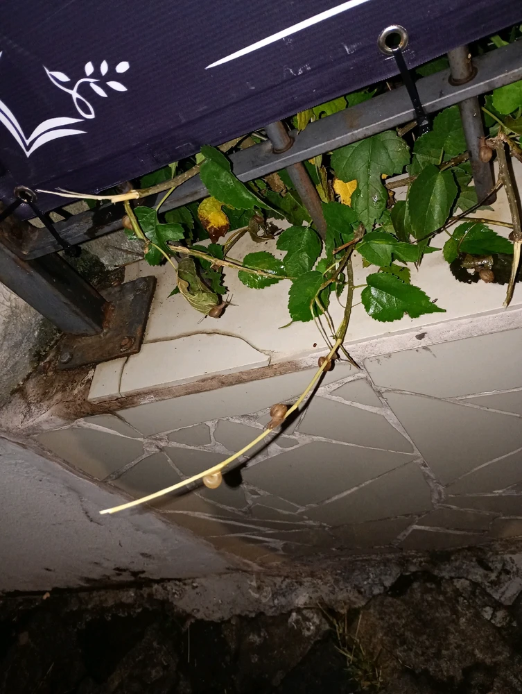 Image uploaded by Vickye